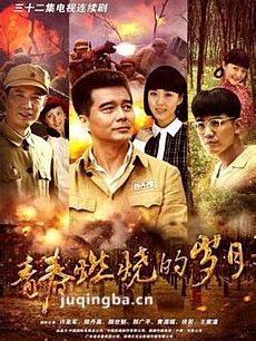 青春燃烧的岁月 青春燃烧的岁月剧情介绍(1-32全集)