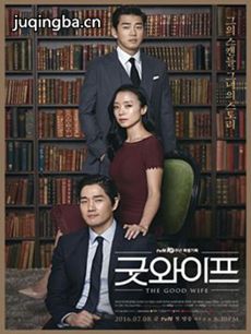 Good Wife 韩剧Good Wife剧情介绍(1-16全集)