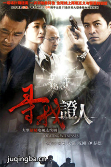 寻找证人 寻找证人剧情介绍(1-28全集)