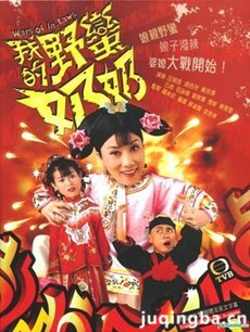 我的野蛮奶奶 我的野蛮奶奶剧情介绍(1-20全集)