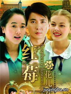 红莓花儿开 红莓花儿开剧情介绍(1-30全集)