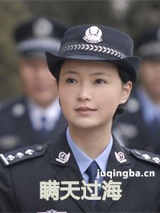 瞒天过海 电视剧瞒天过海剧情介绍(1-20全集)