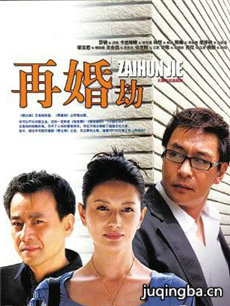 再婚劫 再婚劫剧情介绍(1-30全集)