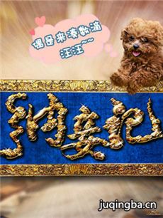 纳妾记2 纳妾记2剧情介绍(1-20全集)