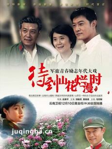 待到山花烂漫时 待到山花烂漫时剧情介绍(1-39全集)