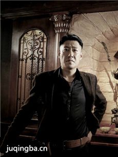 杀出江城 杀出江城剧情介绍(1-46全集)