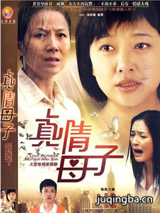 真情母子 真情母子剧情介绍(1-52全集)
