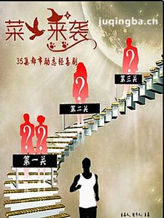 菜鸟来袭 菜鸟来袭剧情介绍(1-35全集)