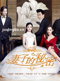 妻子的秘密 妻子的秘密剧情介绍(1-55集)