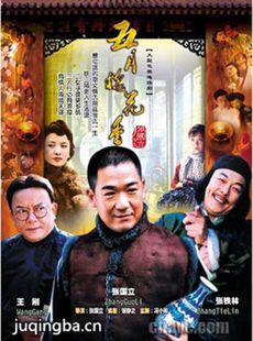 五月槐花香 五月槐花香剧情介绍(1-32全集)