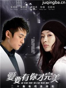 爱要有你才完美 爱要有你才完美剧情介绍(1-20全集)