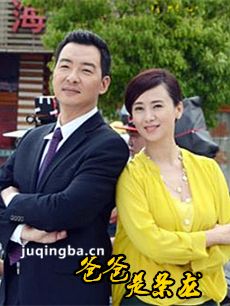 爸爸是条龙 爸爸是条龙剧情介绍(1-40全集)