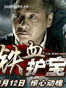 铁血护宝 电视剧铁血护宝剧情介绍(1-30全集)