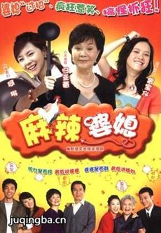 麻辣婆媳 麻辣婆媳剧情介绍(1-20全集)