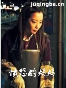 愤怒的妈妈 愤怒的妈妈剧情介绍(1-16全集)