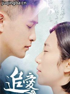 网络剧追爱 网络剧《追爱》剧情介绍(1-12全集)