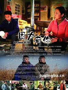 因为有你 电视剧因为有你剧情介绍(1-20全集)