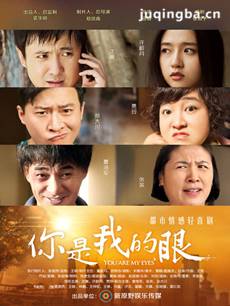 你是我的眼 你是我的眼剧情介绍(1-37全集)（沈腾版）