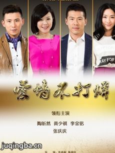 复仇姐妹 电视剧《复仇姐妹》剧情介绍(1-36全集)