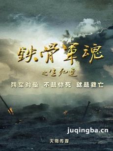 铁骨军魂之生死连 铁骨军魂之生死连剧情介绍(1-40全...