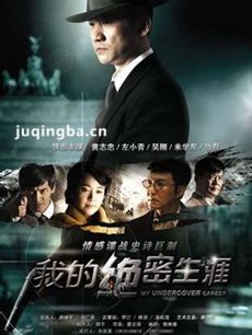 我的绝密生涯 我的绝密生涯剧情介绍(1-40全集)
