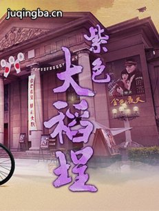 紫色大稻埕 紫色大稻埕剧情介绍(1-22全集)