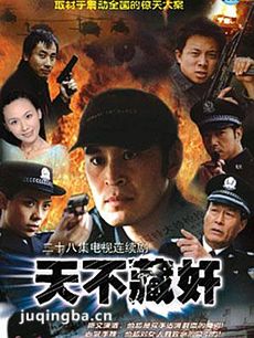 天不藏奸 天不藏奸剧情介绍(1-30全集)