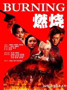 燃烧 电视剧燃烧剧情介绍(1-34全集)