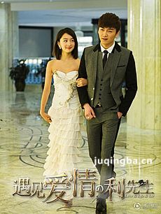 遇见爱情的利先生 遇见爱情的利先生剧情介绍(1-41全...