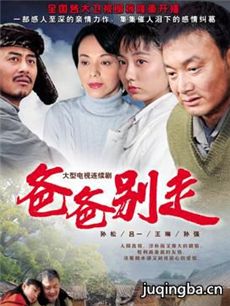 爸爸别走 爸爸别走剧情介绍(1-25全集)