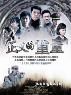 正义的重量 电视剧正义的重量剧情介绍(1-29全集)