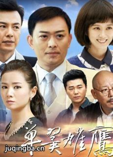 单翼雄鹰 单翼雄鹰剧情介绍(1-38全集)