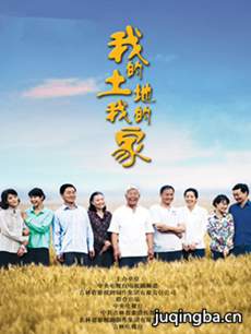 我的土地我的家 我的土地我的家剧情介绍(1-24全集)