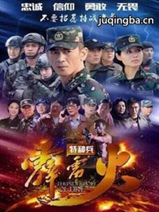 我是特种兵之霹雳火 我是特种兵之霹雳火剧情介绍(1-...