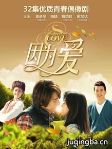 因为爱 电视剧《因为爱》剧情介绍(1-30全集)