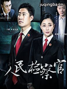 人民检察官 人民检察官剧情介绍(1-33全集)