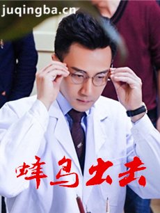 蜂鸟出击 蜂鸟出击剧情介绍(1-40全集)