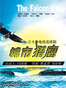 城市猎鹰 城市猎鹰剧情介绍(1-30全集)