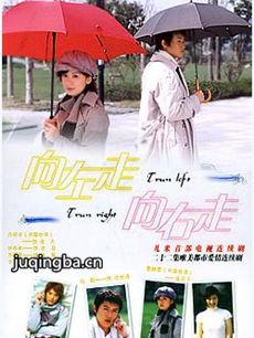 向左走向右走 电视剧《向左走向右走》剧情介绍(1-20...