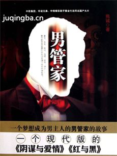 男管家 电视剧《男管家》剧情介绍(1-43全集)