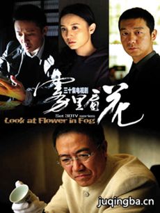雾里看花 电视剧《雾里看花》剧情介绍(1-30全集)