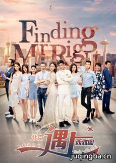 北京遇上西雅图 北京遇上西雅图剧情介绍(1-30全集)