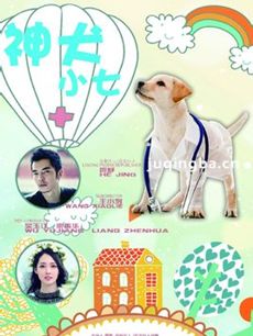 神犬小七 电视剧神犬小七剧情介绍(1-38全集)