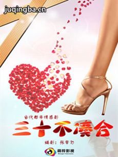 三十不凑合 三十不凑合剧情介绍(1-30全集)