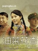 油菜花香 电视剧油菜花香剧情介绍(1-30全集)
