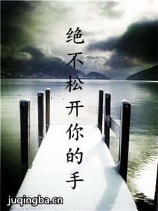 绝不松开你的手 绝不松开你的手剧情介绍(1-40全集)