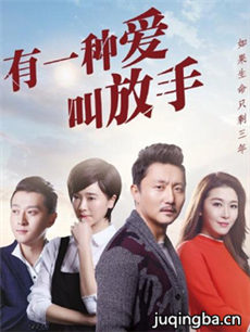 有一种爱叫放手 有一种爱叫放手剧情介绍(1-42全集)