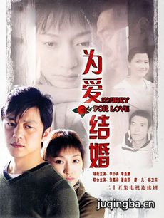 为爱结婚 为爱结婚剧情介绍(1-25全集)