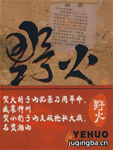 野火 电视剧《野火》剧情介绍(1-40全集)