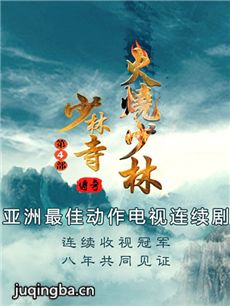 少林寺传奇4之火烧少林 少林寺传奇4之火烧少林剧情介...